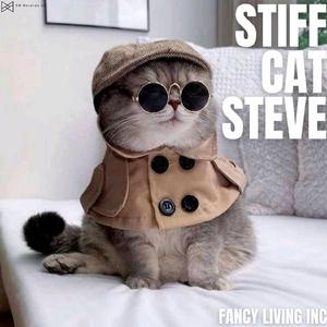 Plunging The Toilet (Again)