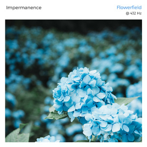 Flowerfield