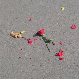 变成陌生人（Cover：王心凌）