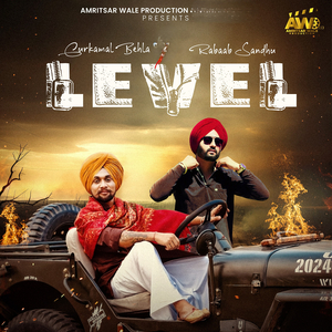 Level