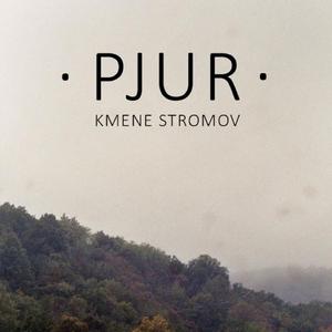 Kmene stromov