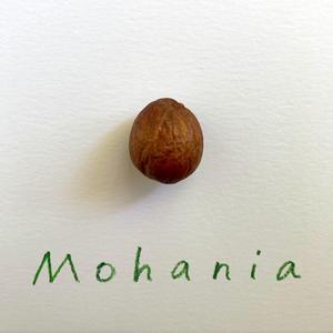Mohania (feat. Olha Chernyshova & Diego Medina)