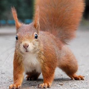 e6e8e1d43360e2df3e022c38cd3bcdf5