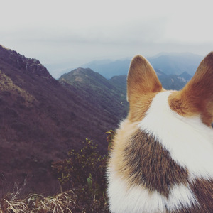 电石灯下的晚餐