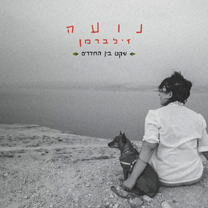 שקט בין החדרים