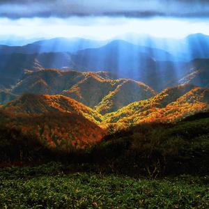 Szeretnék Én Lenni