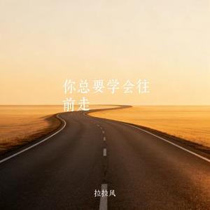 你总要学会往前走 (Cover 田园)