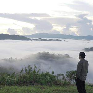Umaga