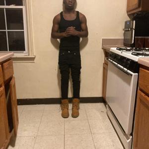 Freedareal
