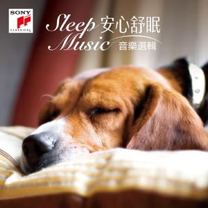 Piano Concerto No. 2 in C Minor, Op. 18:II. Adagio sostenuto