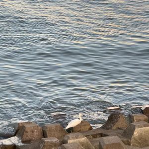 风（Prod by Skyghost）