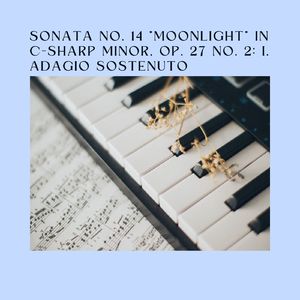 Sonata No. 14 "Moonlight" in C-Sharp Minor, Op. 27 No. 2:I. Adagio sostenuto