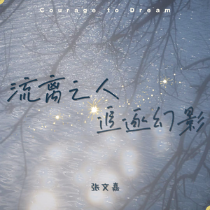 流离之人追逐幻影