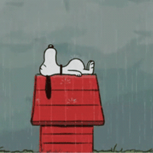 【free】gonna leave