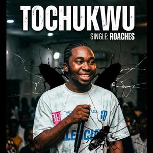 ROACHES