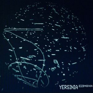 Yersinia