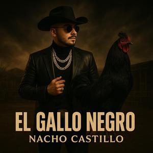 EL GALLO NEGRO