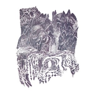 Feedback and Phasers