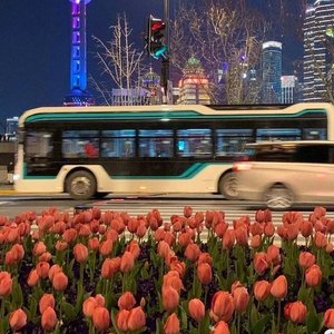 MISO-Take Me （slowed）（Billie remix）