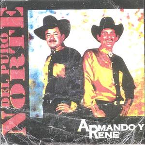 Ingrata Traicionera Mix