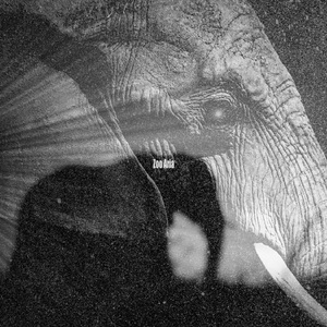 Father Negative 负父