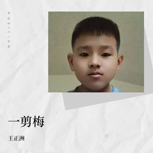 一剪梅-王正洲