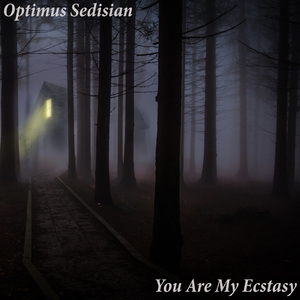 You Are My Ecstasy
