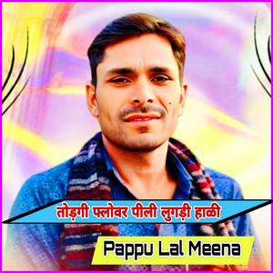 तोड़गी फ्लोवर पीली लुगड़ी हाळी