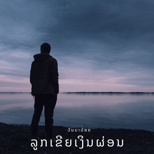 ລູກເຂີຍເງິນຜ່ອນ