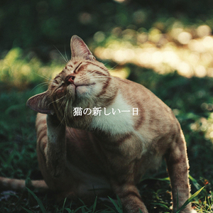 Entertaining Rome Espresso Bars