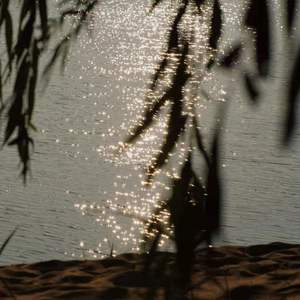 雨碎江南（黄时雨琵琶版）