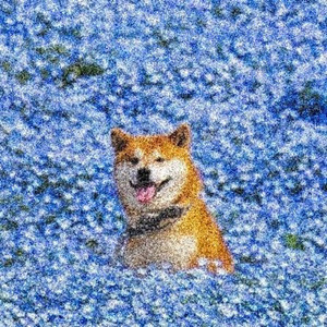 Flowers Trip