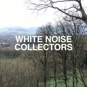 White Noise Fan Non Stationary Continuous