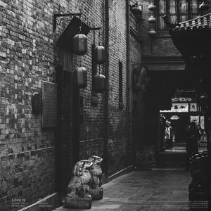 我的名字叫做安（cover:安来宁）