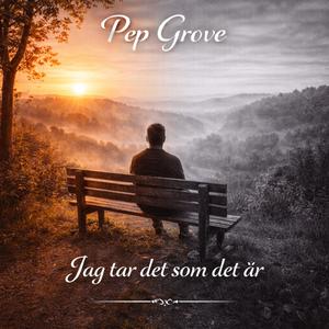 Jag tar det som det är