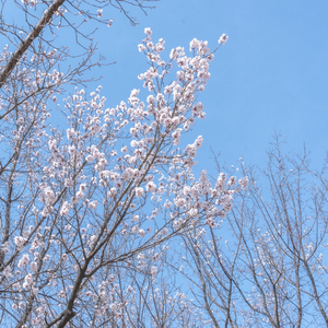 나의 그대 (Inst.)