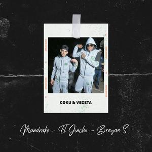 Goku & Vegeta (feat. El Jincho & Mandrake El Malocorita)