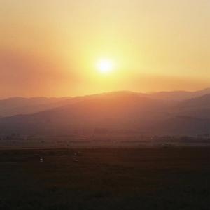 Fields (feat. Saemore)