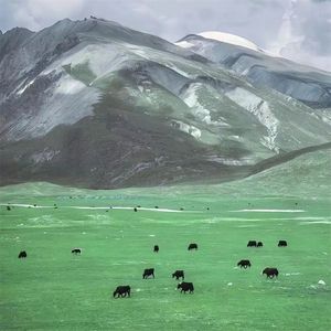 一步一步 向前冲