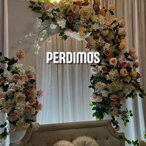 Perdimos