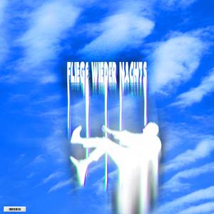 Fliege wieder nachts