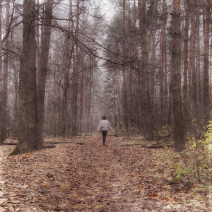 Путь в никуда