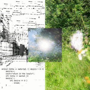 海一片金色花园