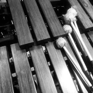 拼凑的断音(Marimba ver.)