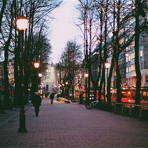 鱼的眼泪海知道