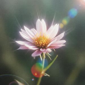 Ethereal Focus Music