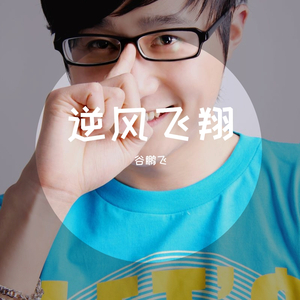 逆风飞翔-谷鹏飞
