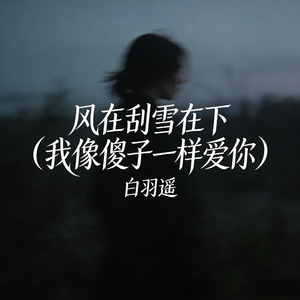 风在刮雪在下 (我像傻子一样爱你)