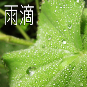 雨滴,25部