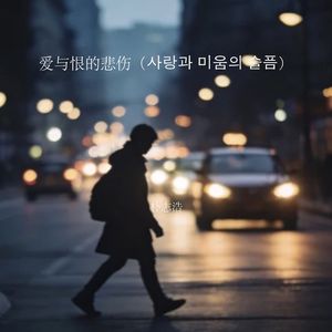 爱与恨的悲伤（사랑과 미움의 슬픔）